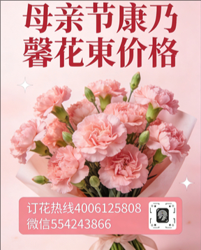 丽水莲都区花店母亲节康乃馨花束